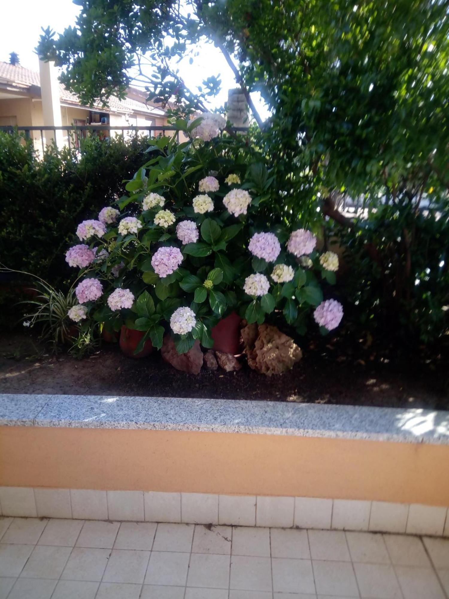 Casa Al Mare Con Giardino Villa Alghero Exterior photo